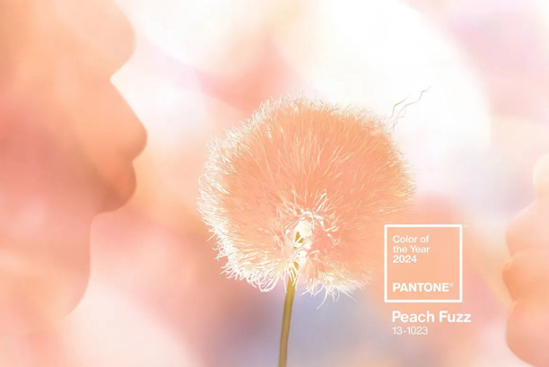 Оттенок оранжевого Peach Fuzz 13-1023 объявлен цветом 2024 года по версии Pantone
